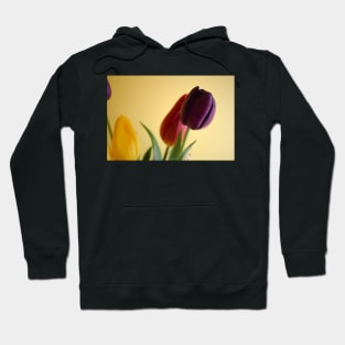 Tulip Flower Bouquet Hoodie